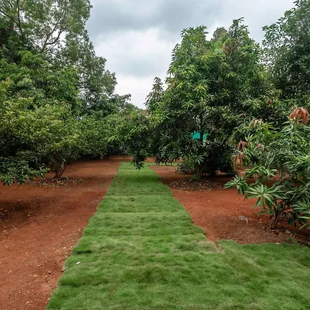 Grey Hues By Stayvista - 8Bhk Villa With Private Pool & Bbq-2